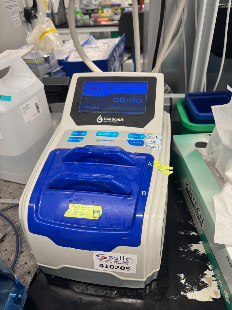 Image of GenScript eStain Protein Stainer